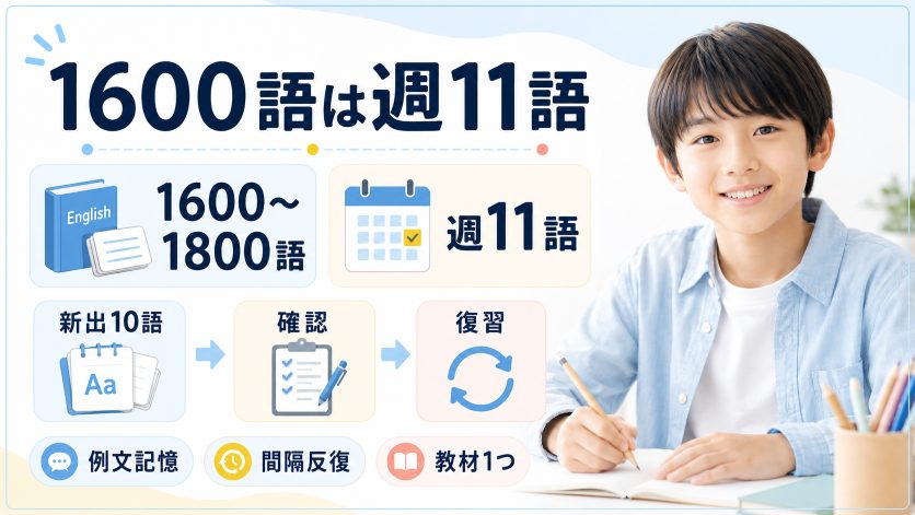 中学生の英語基礎を固める単語の覚え方｜1600〜1800語を無理なく学ぶ計画